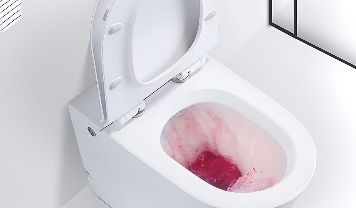 automatic-toilet-bowl-cleaner-description-puralb-005