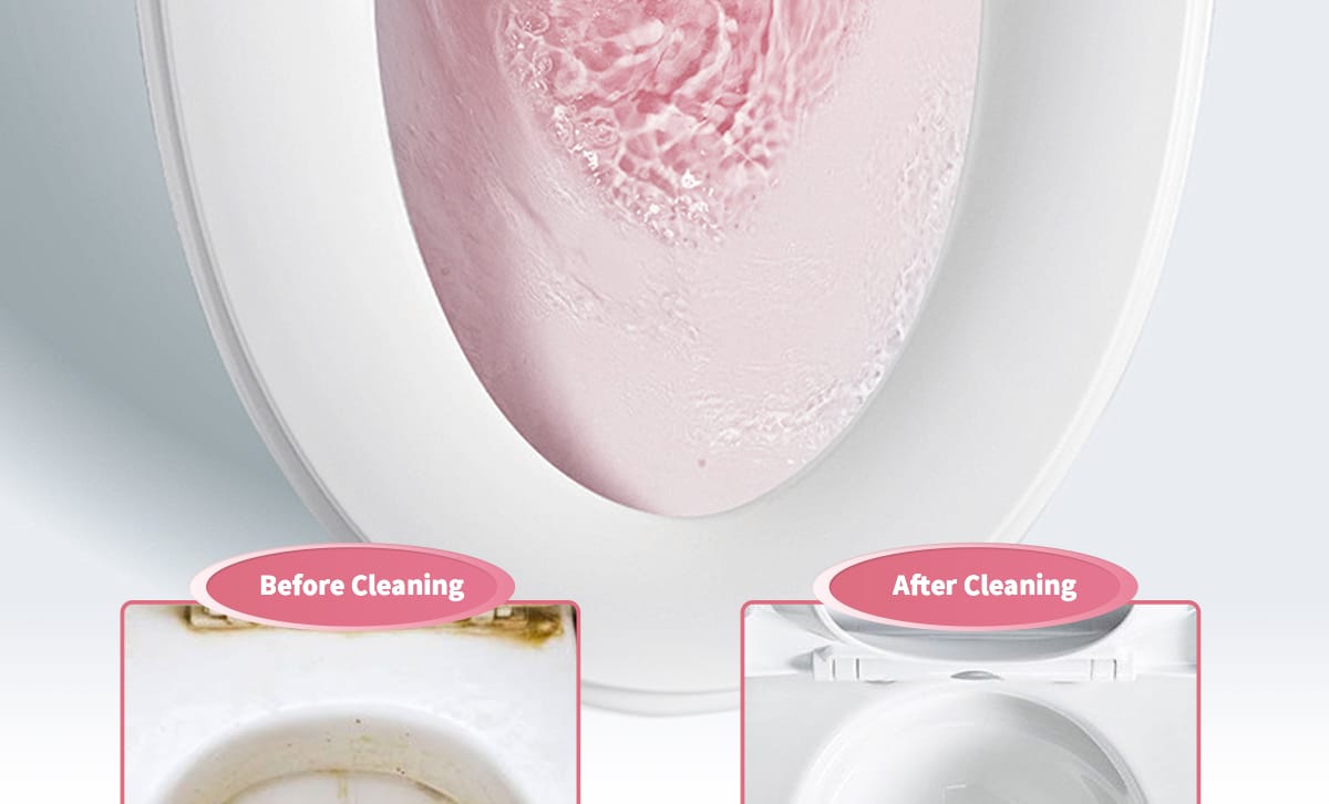 automatic-toilet-bowl-cleaner-description-puralb-009